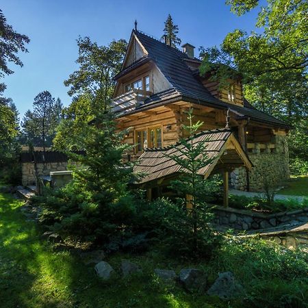 Willa Dom Crocus Zakopane Zewnętrze zdjęcie