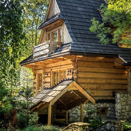 Willa Dom Crocus Zakopane Zewnętrze zdjęcie